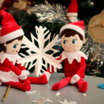 AVVISO DI CHIUSURA DEL SERVIZIO