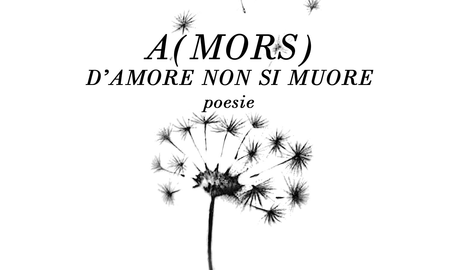 parte della copertina del libro